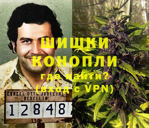 PSILOCYBIN Лабытнанги