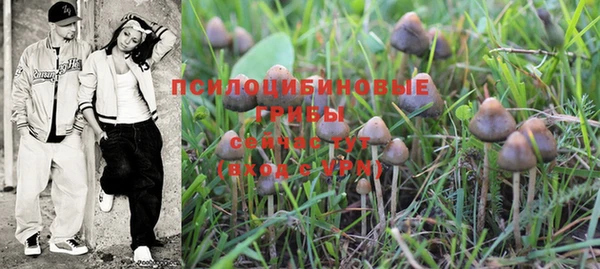 PSILOCYBIN Лабытнанги