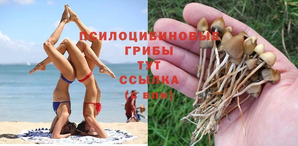 мяу мяу мука Кукмор